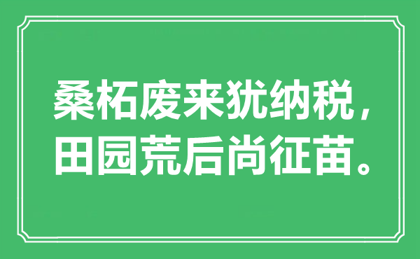 “桑柘废来犹纳税，田园荒后尚征苗。”是什么意思,出处是哪里