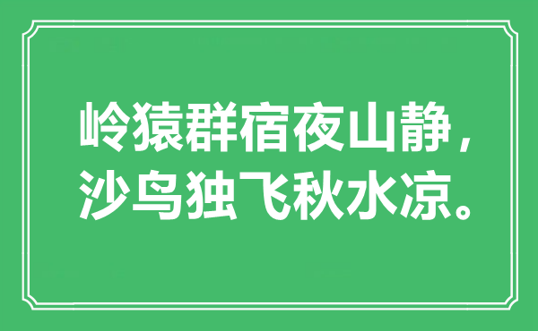 “岭猿群宿夜山静，沙鸟独飞秋水凉”是什么意思,出处是哪里