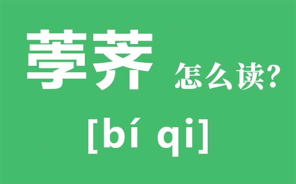 荸荠怎么读,荸荠是什么,荸荠怎么吃,荸荠的功效与作用