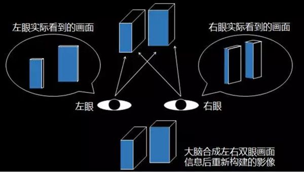 看3D电影为什么要戴3D眼镜,3D电影的原理是什么