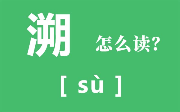 溯怎么读,溯的拼音,追溯是什么意思