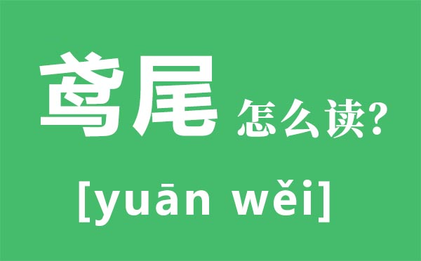 鸢尾怎么读拼音是什么,鸢尾是什么,鸢尾花花语是什么