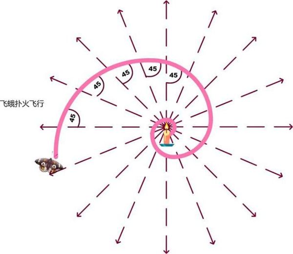 飞蛾为什么扑火,飞蛾扑火的原因是什么