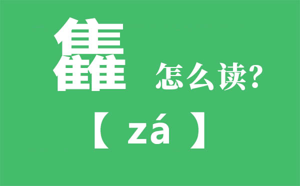 雥怎么读,三个隹念什么,雥的拼音,雥字是什么意思