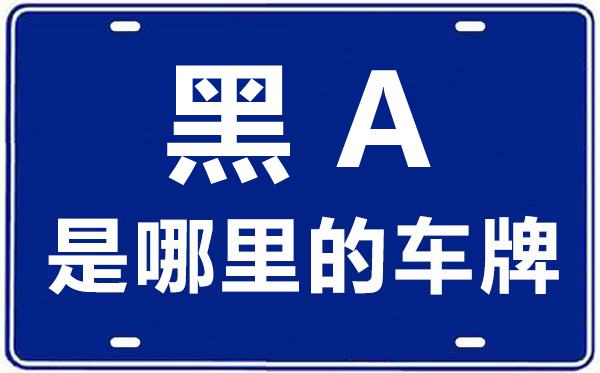 黑A是哪里的车牌号,哈尔滨的车牌号是黑什么