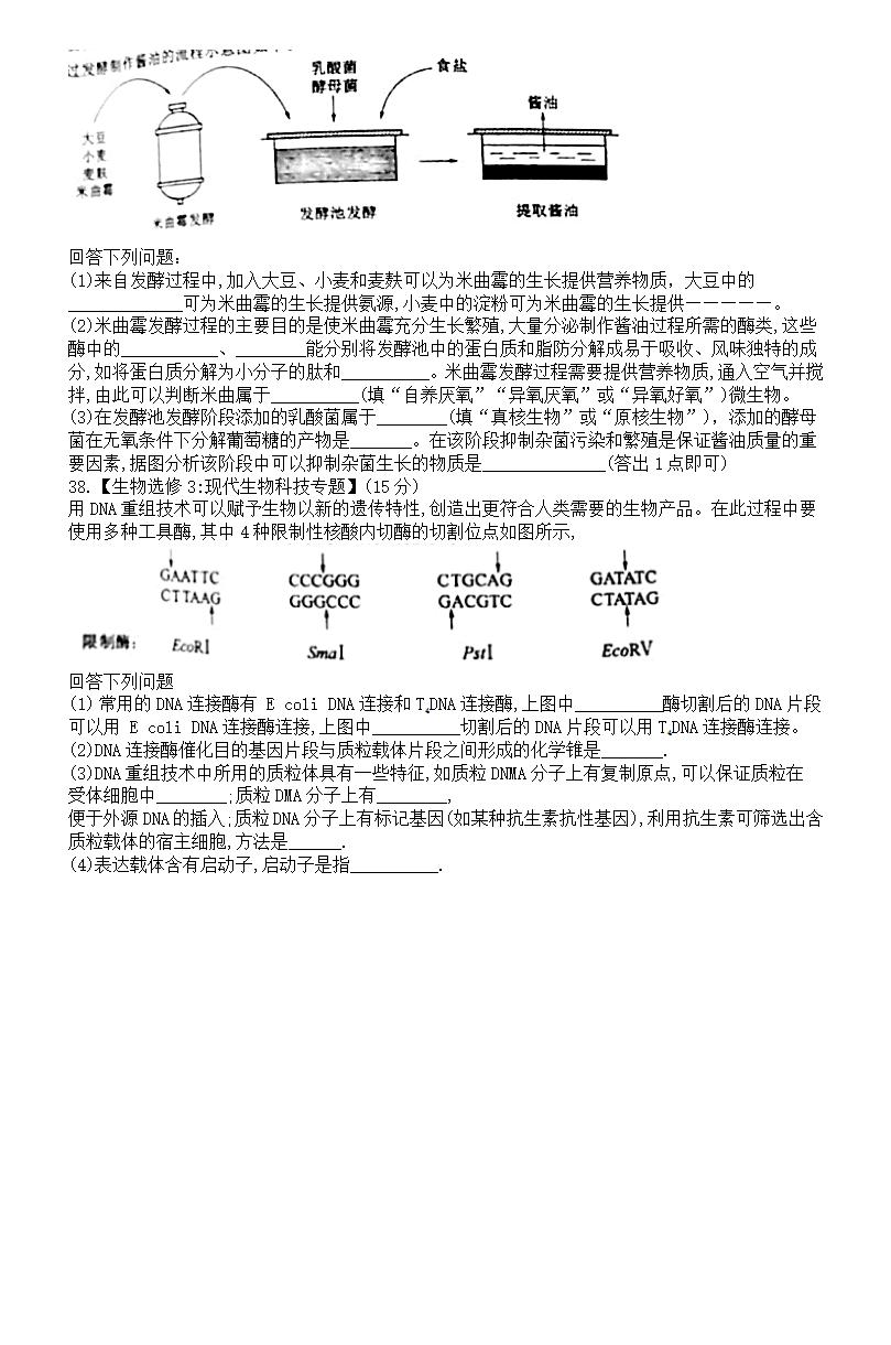 2021年高考理综试卷及答案,理科综合试题答案解析