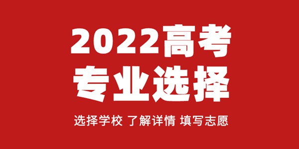 文科生可以报哪些专业,文科生学什么专业好呢