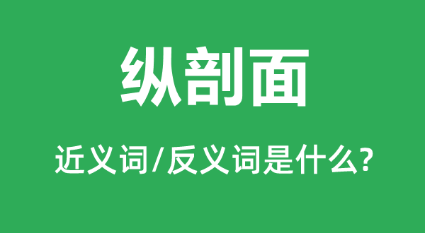 纵剖面的近义词和反义词是什么,纵剖面是什么意思