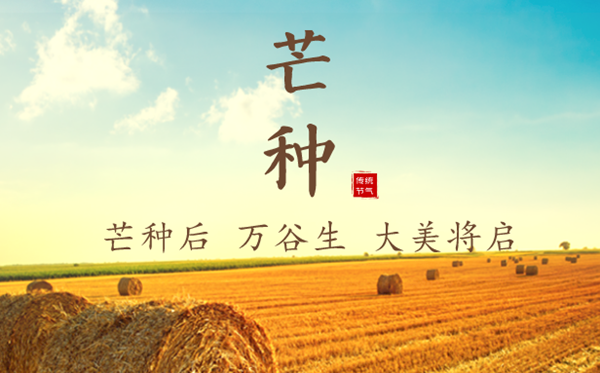 2023年芒种是几月几日几点,芒种的含义是什么意思