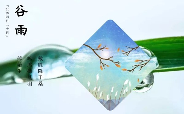 谷雨节气的含义是什么,谷雨节气的特点和风俗简介