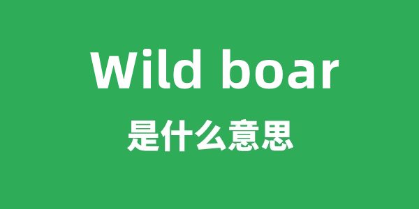 Wild boar是什么意思