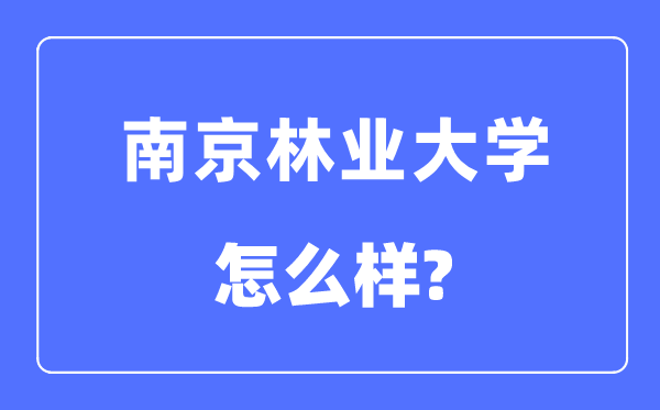 南京林业大学是985还是211,南京林业大学怎么样？