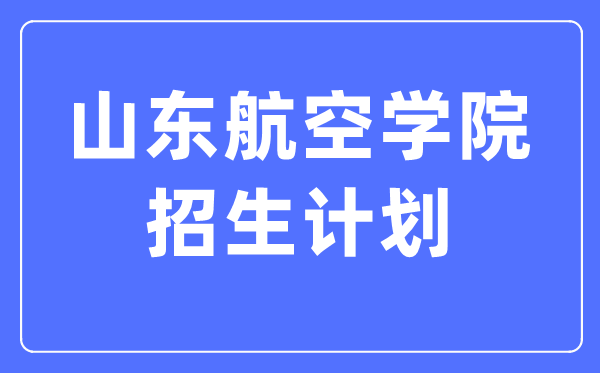 2024年山东航空学院各省招生计划及各专业招生人数是多少