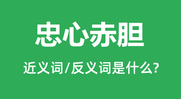 忠心赤胆的近义词和反义词是什么,忠心赤胆是什么意思