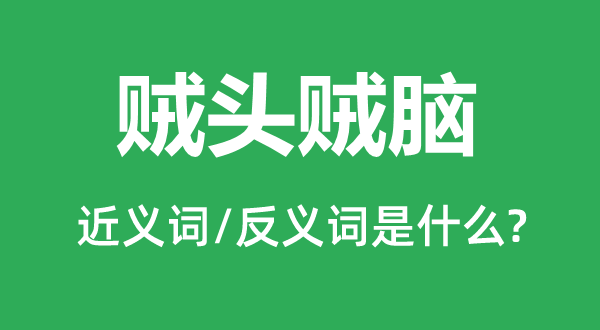 贼头贼脑的近义词和反义词是什么,贼头贼脑是什么意思