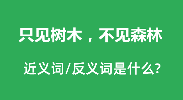 只见树木，不见森林的近义词和反义词是什么,只见树木，不见森林是什么意思