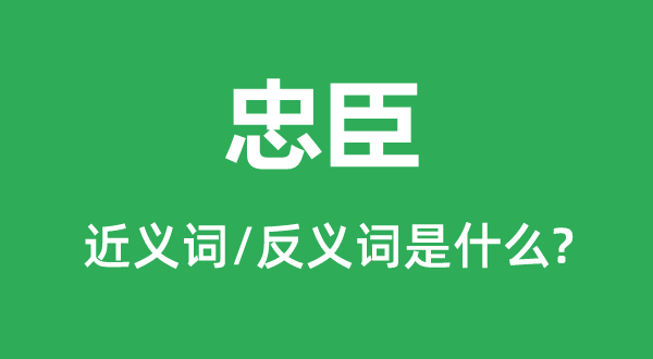 忠臣的近义词和反义词是什么,忠臣是什么意思