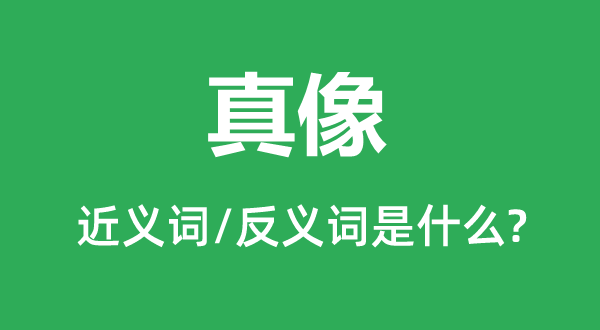 真像的近义词和反义词是什么,真像是什么意思