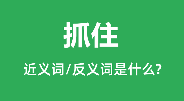 抓住的近义词和反义词是什么,抓住是什么意思