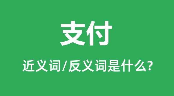 支付的近义词和反义词是什么,支付是什么意思