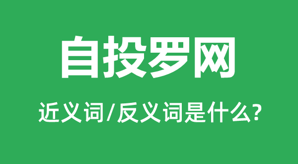 自投罗网的近义词和反义词是什么,自投罗网是什么意思