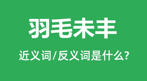 羽毛未丰的近义词和反义词是什么,羽毛未丰是什么意思