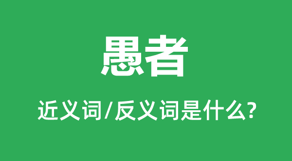 愚者的近义词和反义词是什么,愚者是什么意思