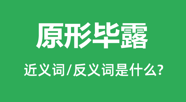 原形毕露的近义词和反义词是什么,原形毕露是什么意思