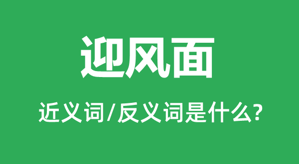 迎风面的近义词和反义词是什么,迎风面是什么意思