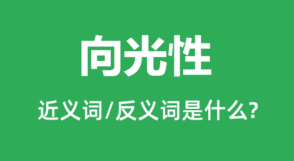 向光性的近义词和反义词是什么,向光性是什么意思