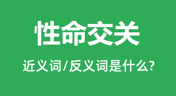 性命交关的近义词和反义词是什么,性命交关是什么意思