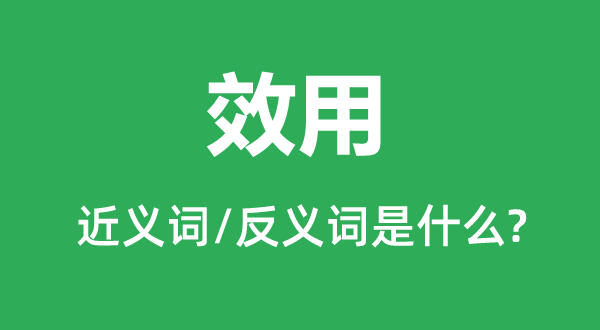 效用的近义词和反义词是什么,效用是什么意思