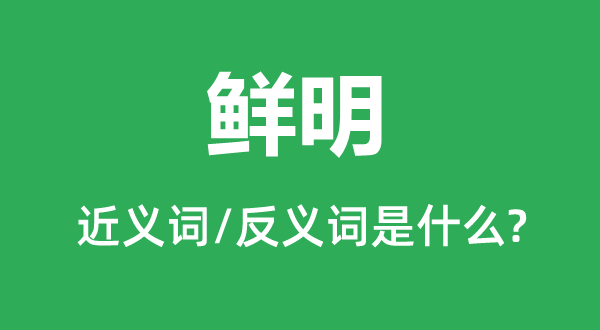 鲜明的近义词和反义词是什么,鲜明是什么意思