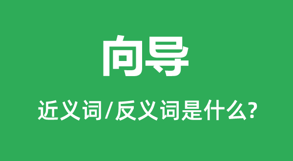 向导的近义词和反义词是什么,向导是什么意思