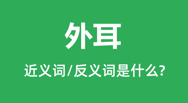 外耳的近义词和反义词是什么,外耳是什么意思