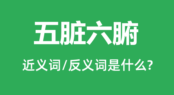 五脏六腑的近义词和反义词是什么,五脏六腑是什么意思