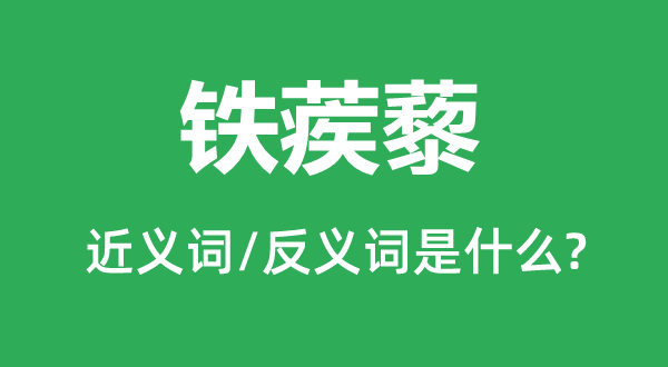 铁蒺藜的近义词和反义词是什么,铁蒺藜是什么意思