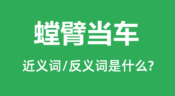 螳臂当车的近义词和反义词是什么,螳臂当车是什么意思