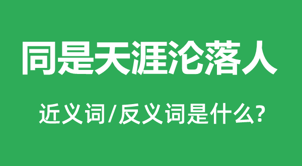 同是天涯沦落人的近义词和反义词是什么,同是天涯沦落人是什么意思