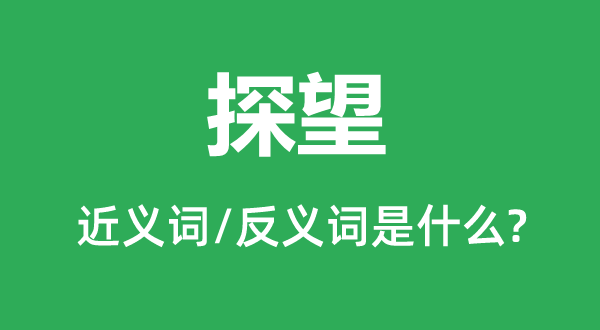 探望的近义词和反义词是什么,探望是什么意思