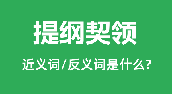 提纲契领的近义词和反义词是什么,提纲契领是什么意思