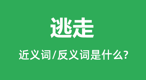 逃走的近义词和反义词是什么,逃走是什么意思