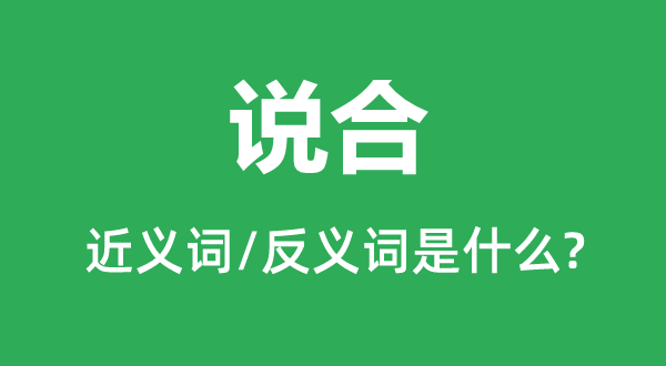 说合的近义词和反义词是什么,说合是什么意思