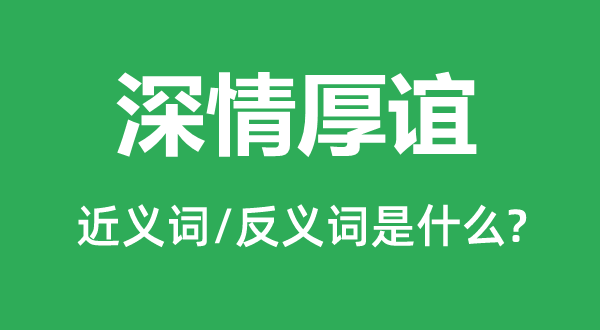 深情厚谊的近义词和反义词是什么,深情厚谊是什么意思