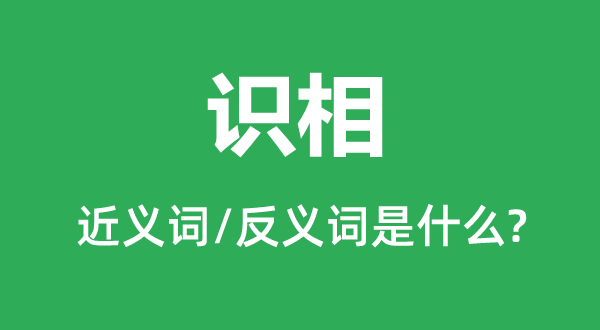 识相的近义词和反义词是什么,识相是什么意思