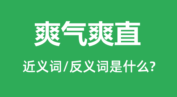 爽气爽直的近义词和反义词是什么,爽气爽直是什么意思