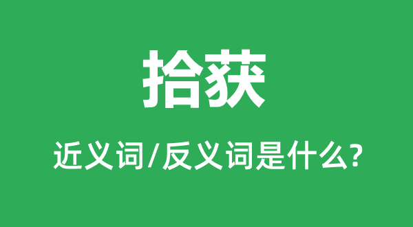 拾获的近义词和反义词是什么,拾获是什么意思