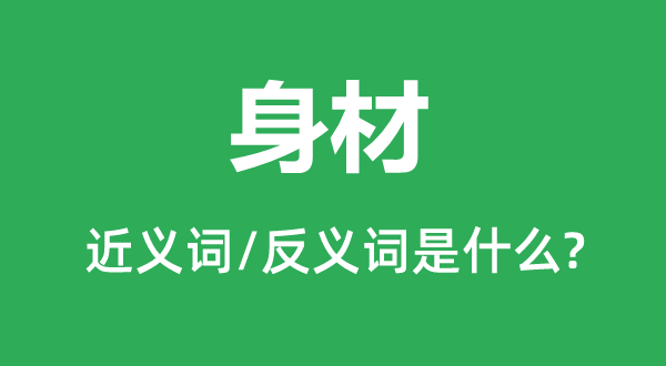 身材的近义词和反义词是什么,身材是什么意思