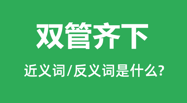 双管齐下的近义词和反义词是什么,双管齐下是什么意思