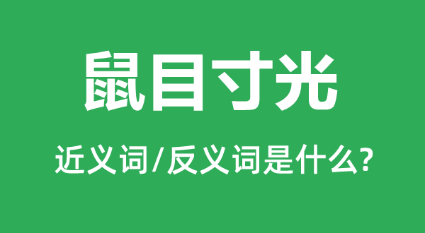 鼠目寸光的近义词和反义词是什么,鼠目寸光是什么意思